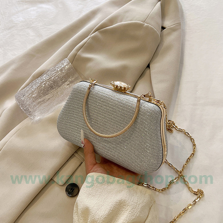 Bag Lady's new silver handbag