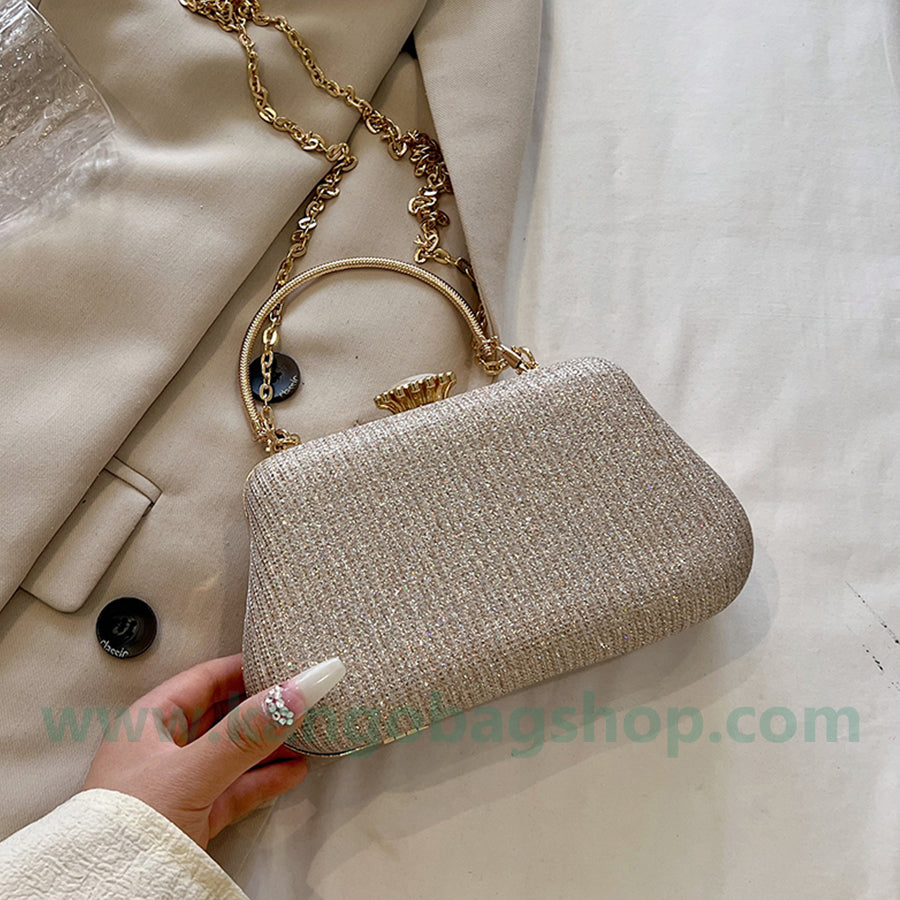 Bag Lady's new silver handbag