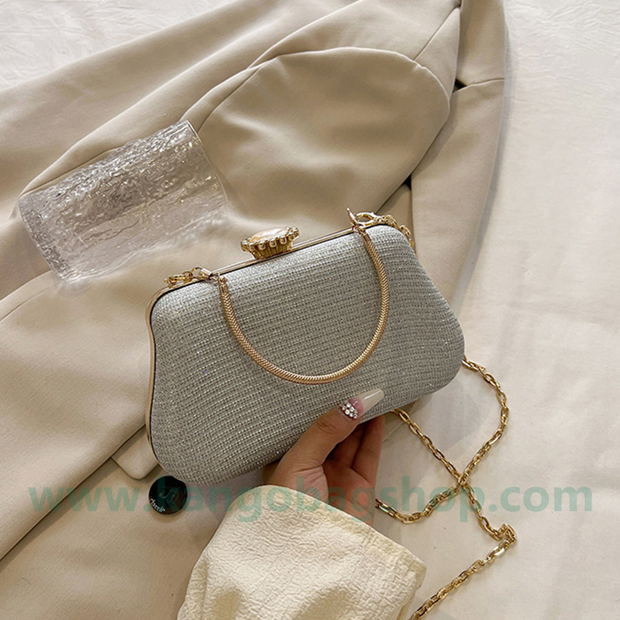 Bag Lady's new silver handbag